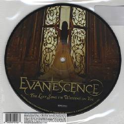 Evanescence : The Last Song I'm Wasting on You